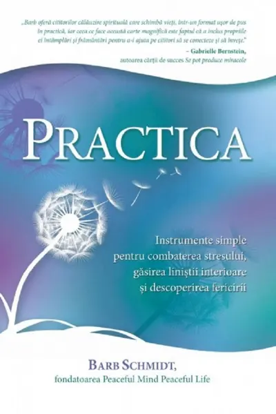 Practica