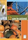 12 luni in gradina