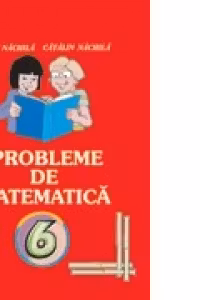 Probleme de matematica pentru clasa a VI-a