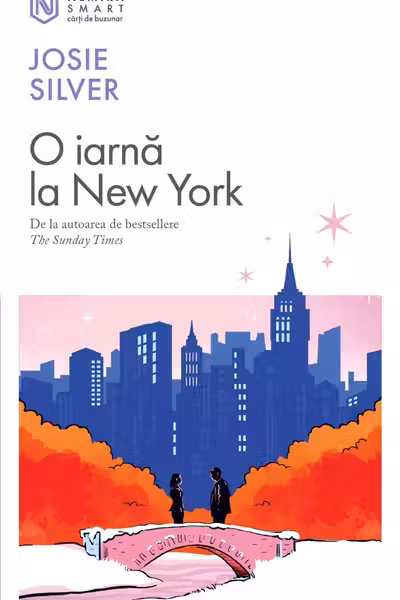 O iarna la New York