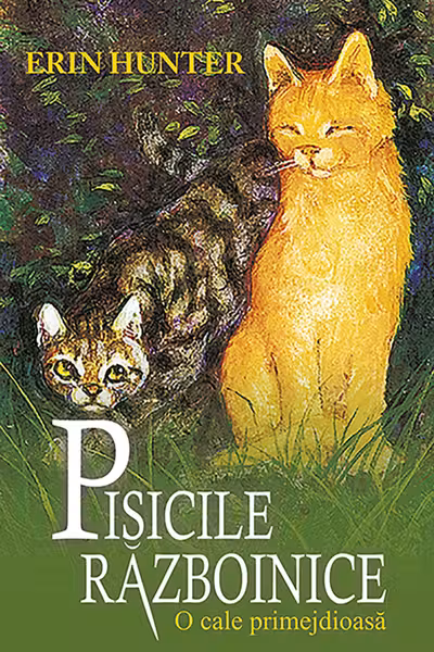 O cale primejdioasa