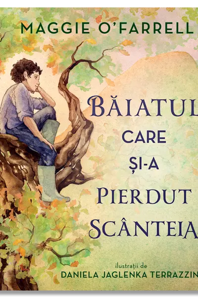 Baiatul care si-a pierdut scanteia