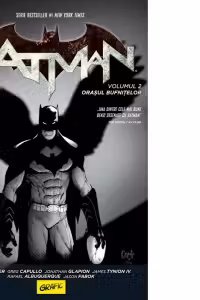 Orașul bufnitelor. Seria Batman Vol.2
