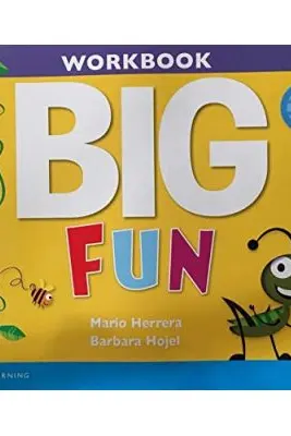 Big Fun 2 Workbook with Audio CD