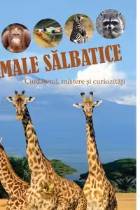 Animale salbatice-curiozitat