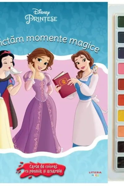 Sa pictam momente magice