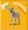 Bebe invata: Animale de la ferma