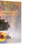 Cunoasterea mediului. Auxiliar pentru clasa a II-a