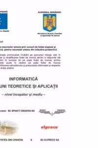 Informatica - notiuni teoretice si aplicatii (nivel incepator si mediu)