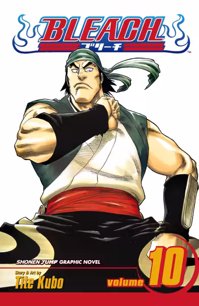 Bleach Vol. 10