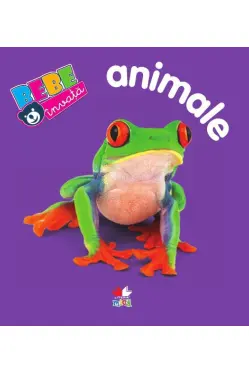 Bebe invata. Animalele