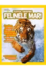 Totul despre felinele mari