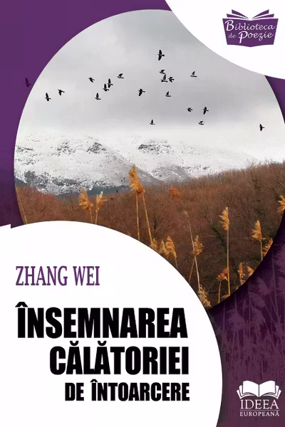 Însemnarea călătoriei de întoarcere
