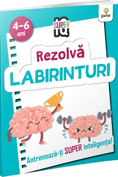Rezolva labirinturi