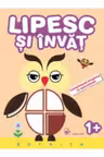 Lipesc si invat. Bufnita