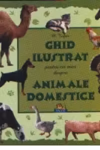 Ghid ilustrat pentru cei mici despre animale domestice (format A4)