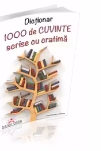 Dictionar 1000 de cuvinte scrise cu cratima