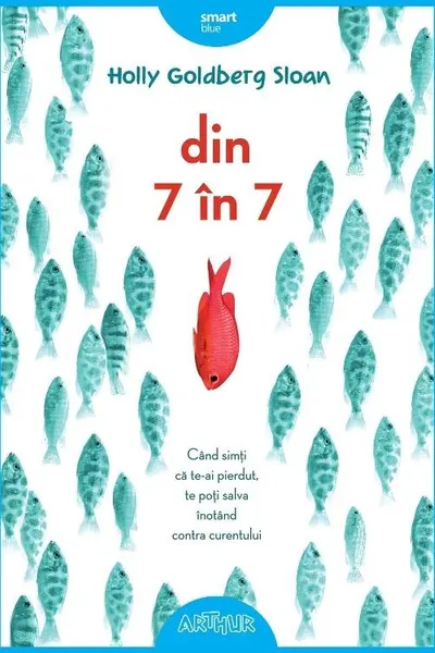 Din 7 in 7