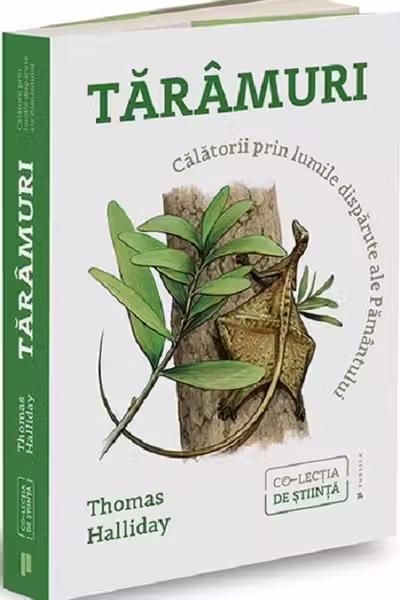Taramuri