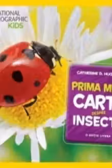 National Geographic kids. Prima mea carte despre insecte