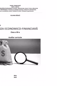 Analiza economico-financiara. Auxiliar curricular pentru clasa a XII-a