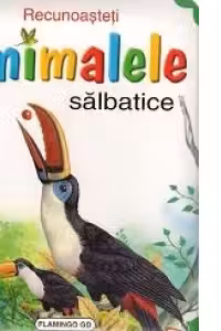 Recunoasteti animalele salbatice (album cu ilustratii - papagal)