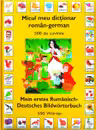 Micul meu dictionar roman-german