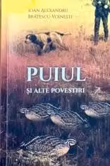 Puiul