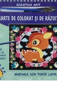 Carte de colorat si de razuit