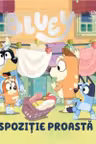 Bluey - Dispozitie proasta