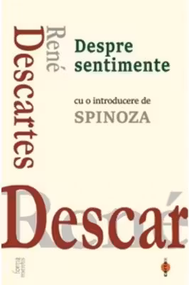 Despre sentimente