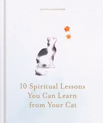 10 Spiritual Lessons You Can Learn from Your Cat