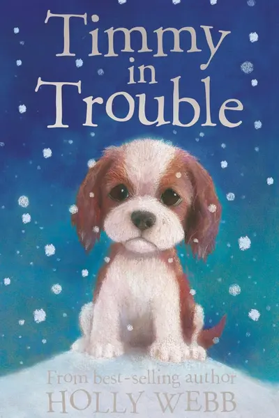 Timmy in Trouble