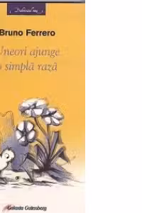 Uneori ajunge o simpla raza