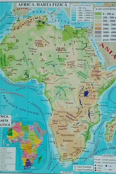 Africa + Australia