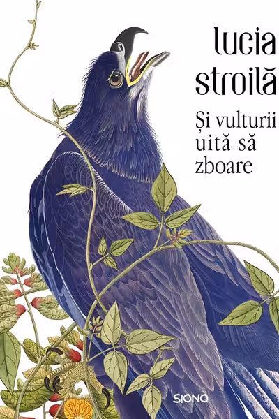 Și vulturii uită să zboare