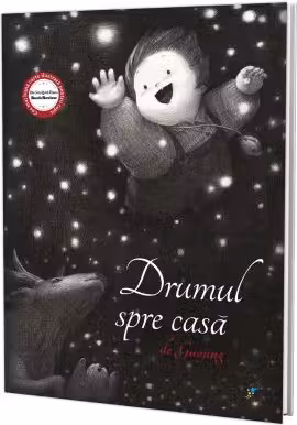 Drumul spre casă
