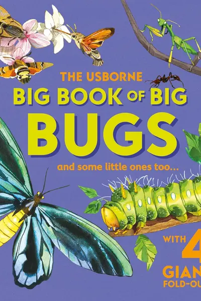 Big Book of Big Bugs