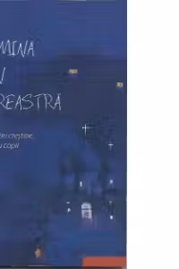 Lumina din fereastră