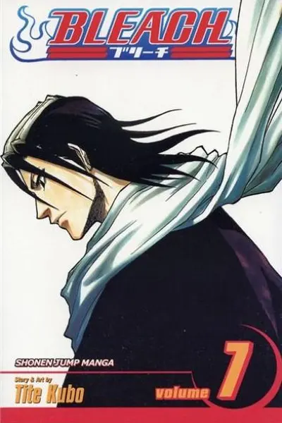 Bleach Vol. 7