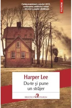 Du-te si pune un strajer