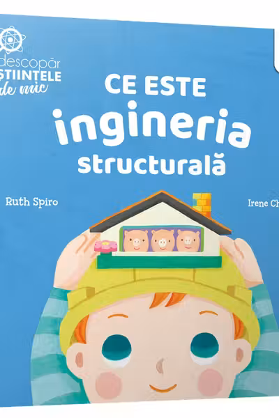 Ce este ingineria structurala