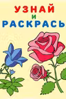 Фламинго. Узнай и раскрась. Цветы