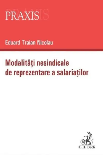 Modalitati nesindicale de reprezentare a salariatilor