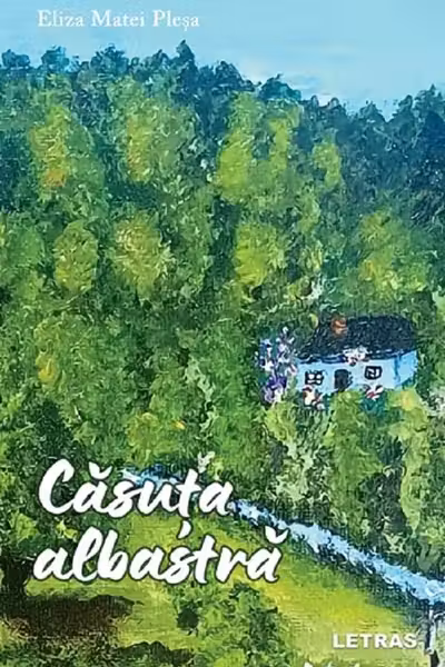 Casuta albastra