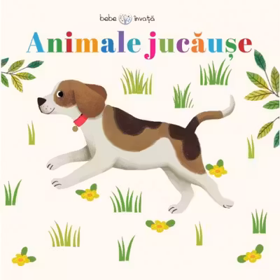 ANIMALE JUCAUSE. Bebe invata.