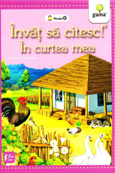 In curtea mea