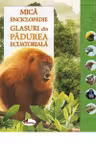 Glasuri din padurea ecuatoriala