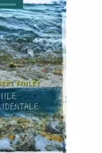 Indiile accidentale
