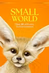 Small World
